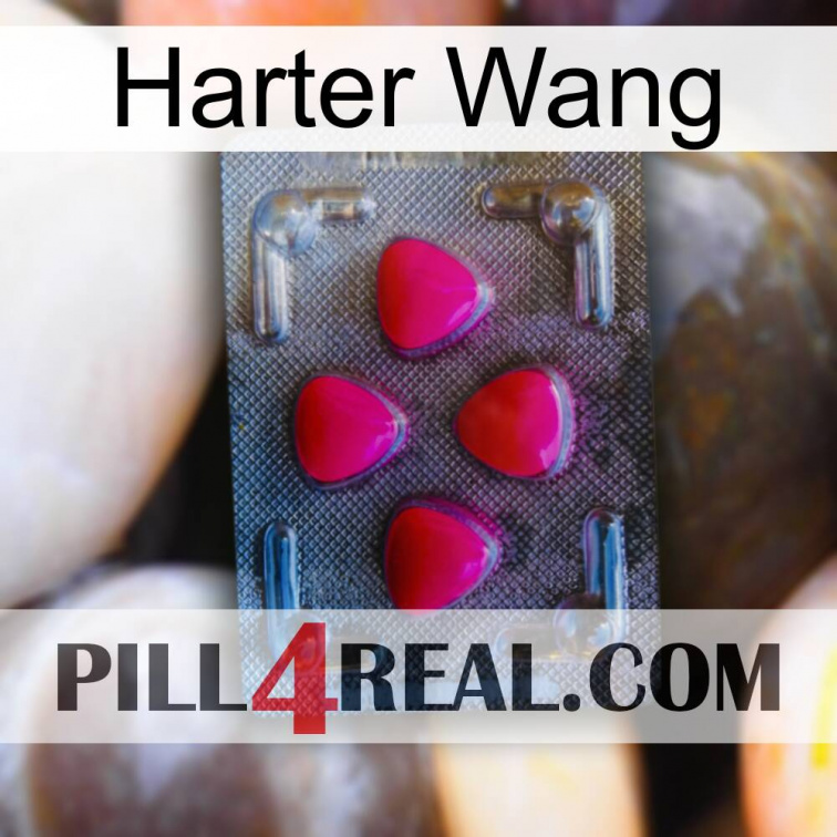 Hard Wang 13